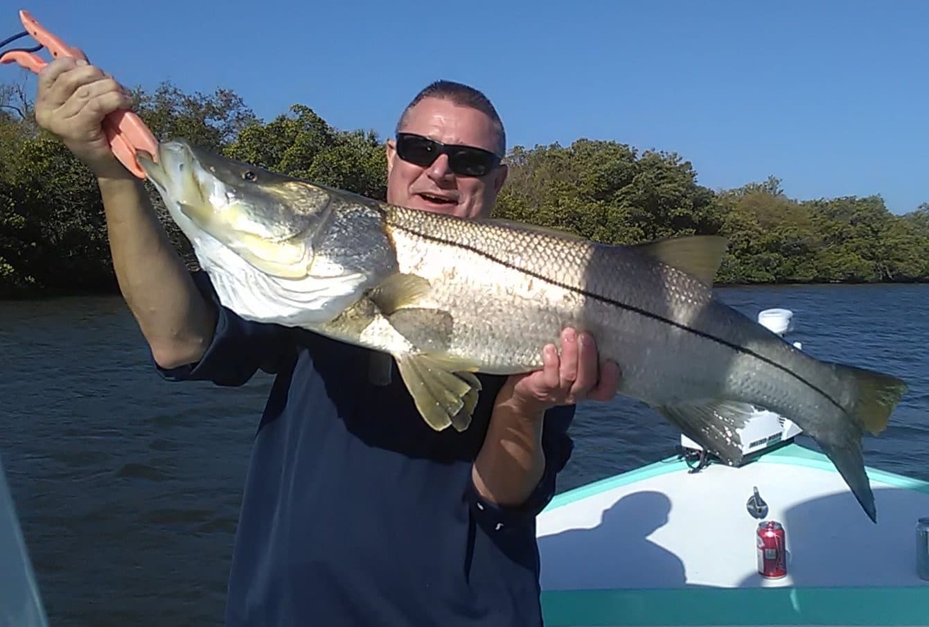 Angler holding a snook on the bow