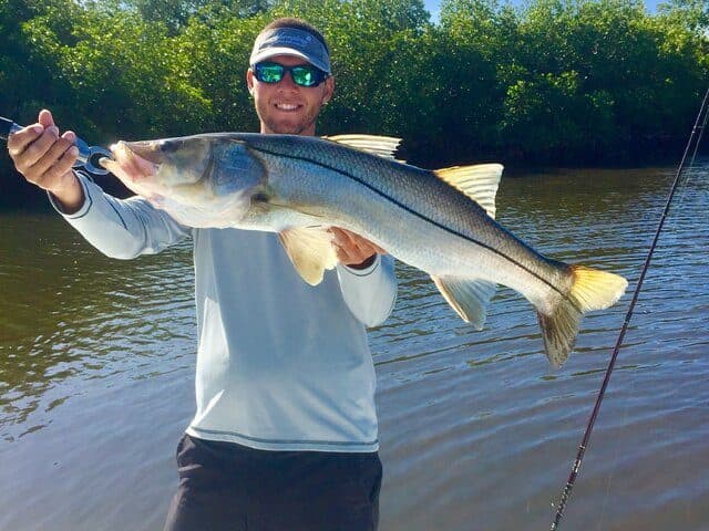 Angler holding a big snook by the mangroves