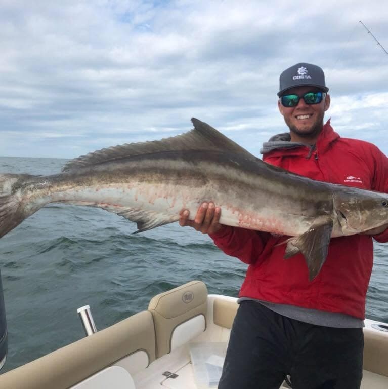 Capt. Alan Spangler holding a big cobia